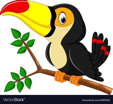 Toucan Bird Cartoon Cute Toucan Bird Cartoon Royalty Free Vector Image