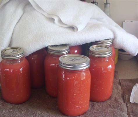 Shawkl Designs Canning Tomatoes 101