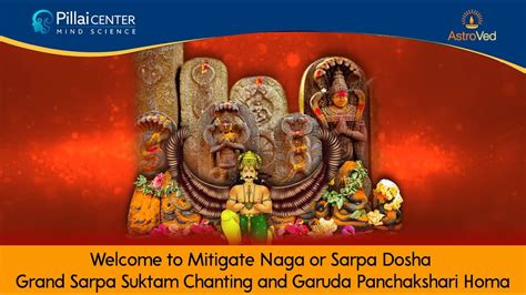 Mitigate Naga Or Sarpa Dosha Grand Sarpa Suktam Chanting And Garuda