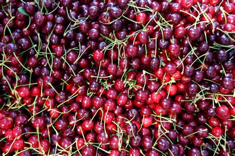 Can You Eat Too Many Cherries Healing Picks