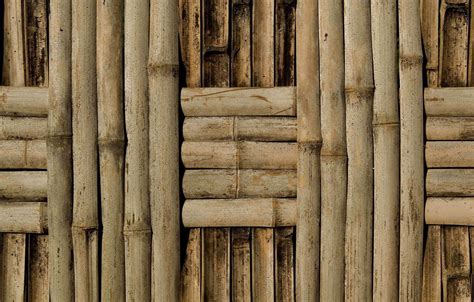 Wallpaper Wall Pattern Bamboo Images For Desktop
