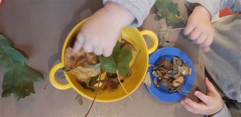 Herfst Lekkere Herfstsoep Maken