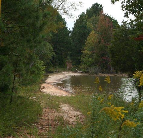 Fox Creek At Lake Wedowee Alabama Birding Trails