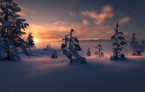 Wallpaper Winter Snow Trees Sunset Norway The Snow Norway