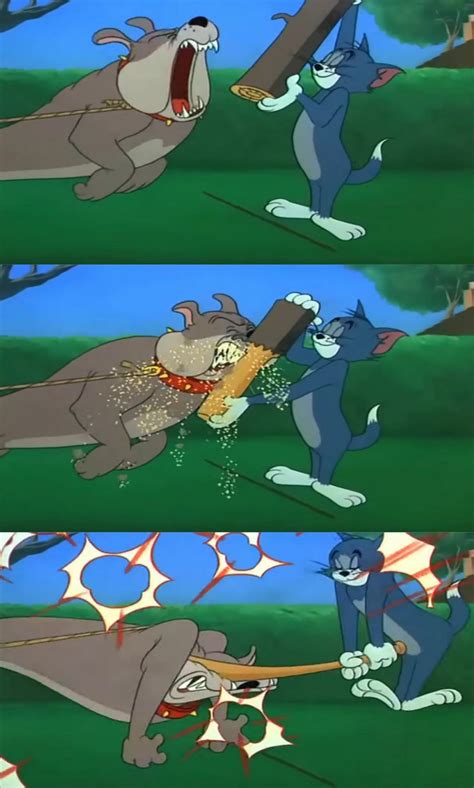 Image result for tom and jerry meme. Tom and jerry meme, I'm seeing potential because the ...