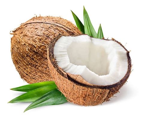 What Is Coconut Meat Cocopany Reliable Coconut Product Supplier