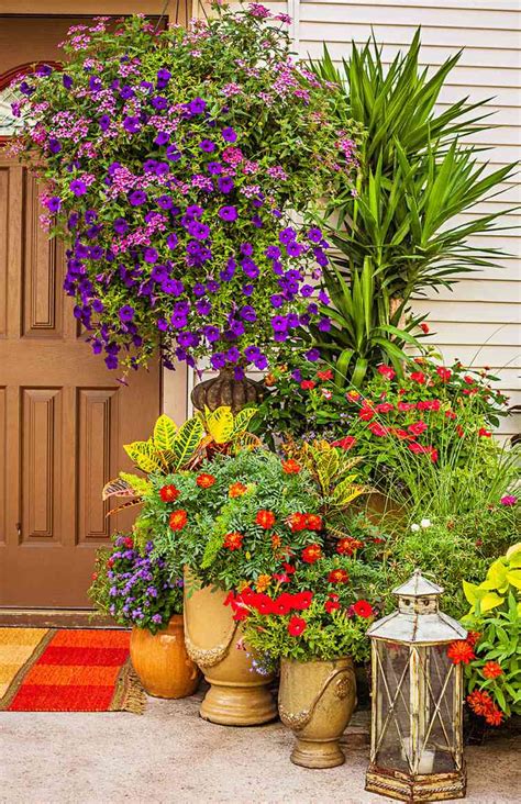 Container Gardens With Pizzazz