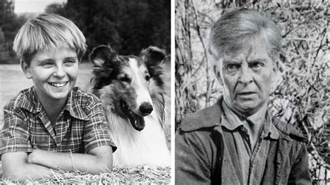 What Really Happened To Tommy Rettig Jeff Miller From Tvs Lassie