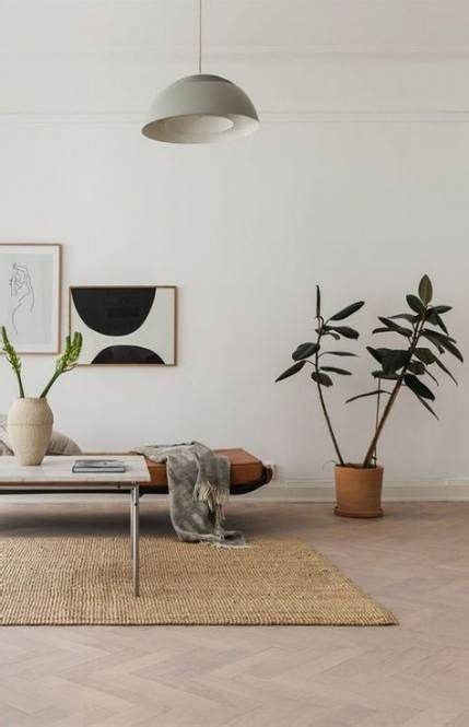 44 Ideas Plants Indoor Living Room Rugs Apartment Living Room Design