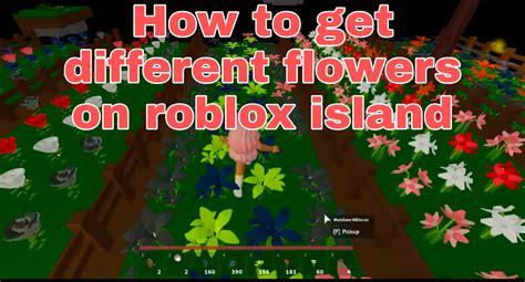 How To Get Different Flowers In Roblox Islands