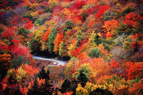 Peak Fall Foliage Will Likely Arrive Late This Year
