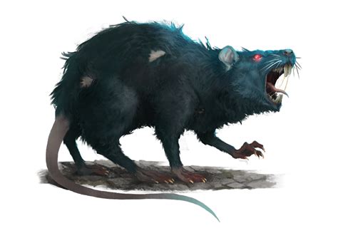 Giant Rat Rats Aggressive Animals Monster Art