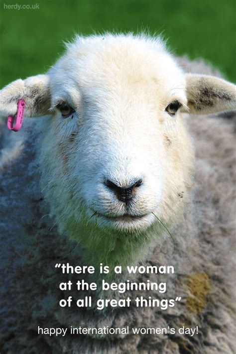 Happy Internationalwomensday Everyone We Love Ewe Herdy