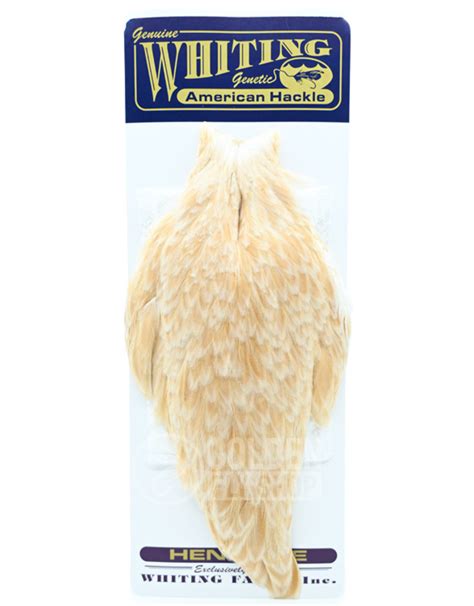 Whiting American Hen Cape Golden Fly Shop