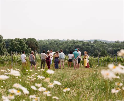 Visit A Sussex Vineyard Sussex Modern