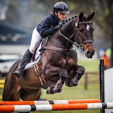 Portfolio Inter Schools Equestrian Championships 2016 Australian