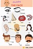Parts of the Face: Useful Face Parts Names with Pictures • 7ESL ...