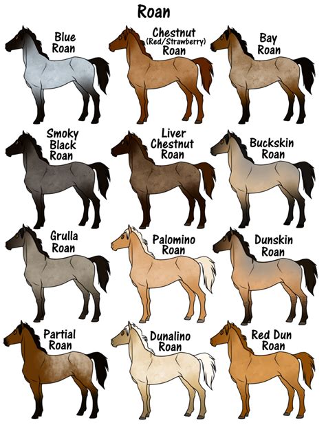 Roan By Flamestorm11 Horse Coat Colors Horse Markings Horse Color Chart