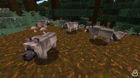 All Wolf Variants In Minecraft And Where To Find Them Beebom
