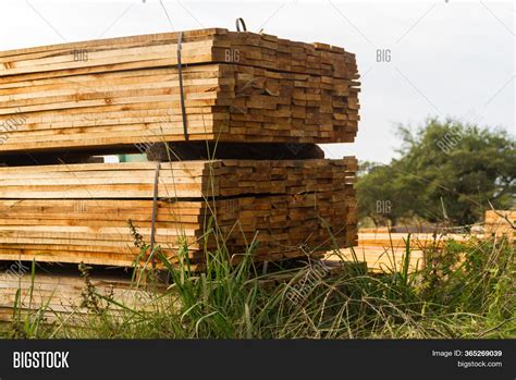 Wood Boards Stacked Image And Photo Free Trial Bigstock