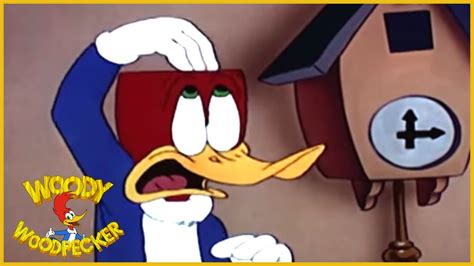 Woody Woodpecker Classic Coo Coo Bird Full Episode Youtube