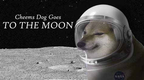 Cheems Dog Goes To The Moon Youtube