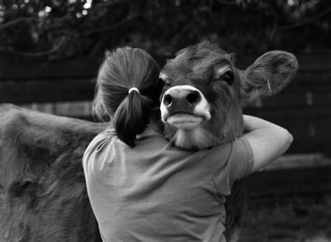 The 19 Most Heartwarming Images Of Animals And Humans Hugging