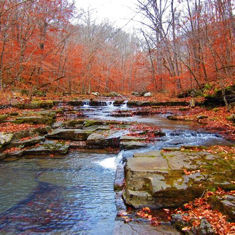 Greasy Creek Newton County Ozark National Forest Arkansas Hiking