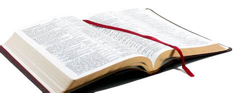 Open Bible PNG Transparent Image Download Size X Px