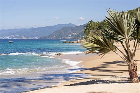 What Are The Beaches Like In Puerto Vallarta And Can You Snorkel And