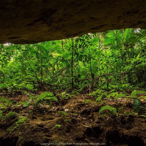 Cave Meets Jungle Bladen Nature Reserve Toledo By Tony Rath On Youpic