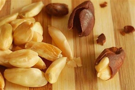 Maybe you would like to learn more about one of these? 7 Jenis Kacang yang Sering Digunakan Untuk Campuran Kue ...