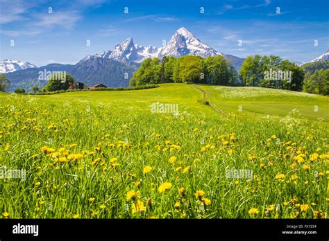 Rural Countryside Pasture Bloom Hi Res Stock Photography And Images Alamy