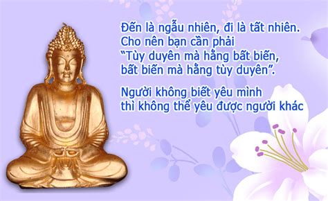 Tổng Hợp Những Lời Phật Dạy Hay Nhất Về Tình Yêu Cuộc Sống Đạo Làm