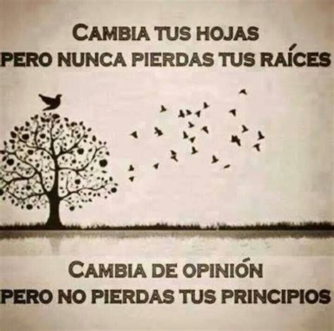 Nunca Pierdas Tus Raices Ni Principios New Quotes Spanish Quotes Words