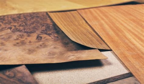 15 Types Of Wood Veneer Styles And Materials