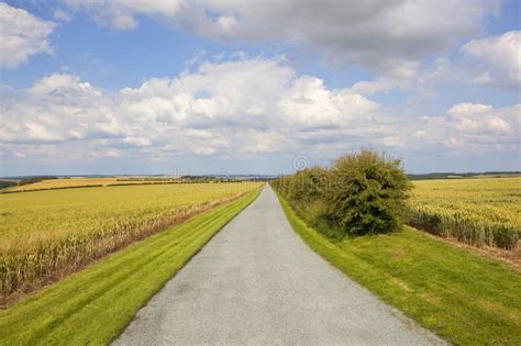 A Newly Resurfaced Farm Road In The Scenic Yorkshire Wolds In