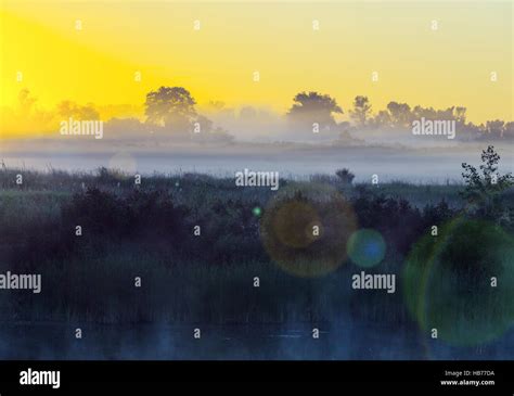 Fog On The River Stock Photo Alamy