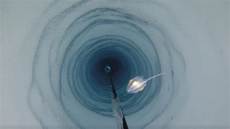 Antarctic Researchers Discover Mysterious Creatures Deep Beneath Ice