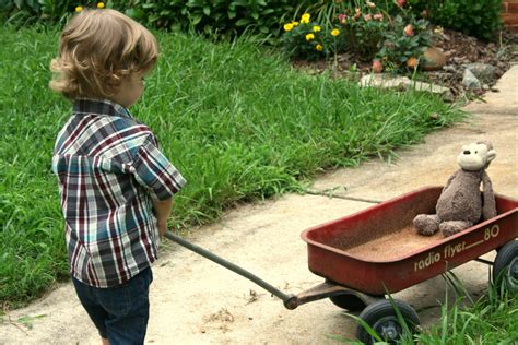 Free Images Farm Lawn Meadow Flower Boy Kid Child Agriculture