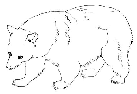 Thats why we have bear coloring pages here, on our website. Free Printable Bear Coloring Pages For Kids