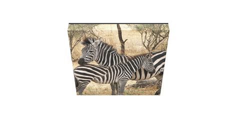 Mother And Baby Zebra Canvas Print Zazzle