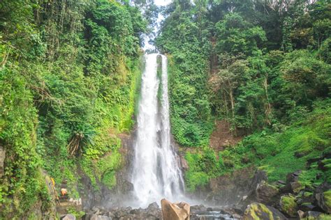Gitgit Waterfall Lovely Jungle Waterfall In North Bali