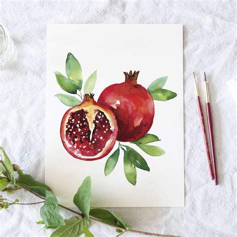 Pomegranate Watercolor Kit Watercolor Kit Watercolor Illustration