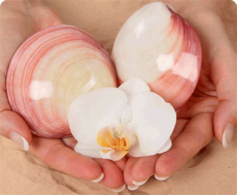 shells lava shells massage prenatal massage