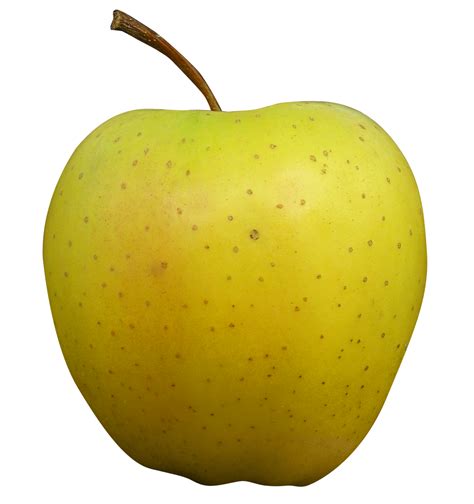 Golden Apple PNG Image | Golden apple, Apple, Golden ...