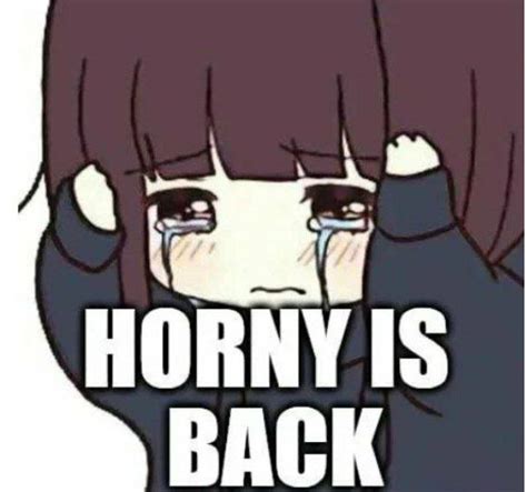 horny is back memes