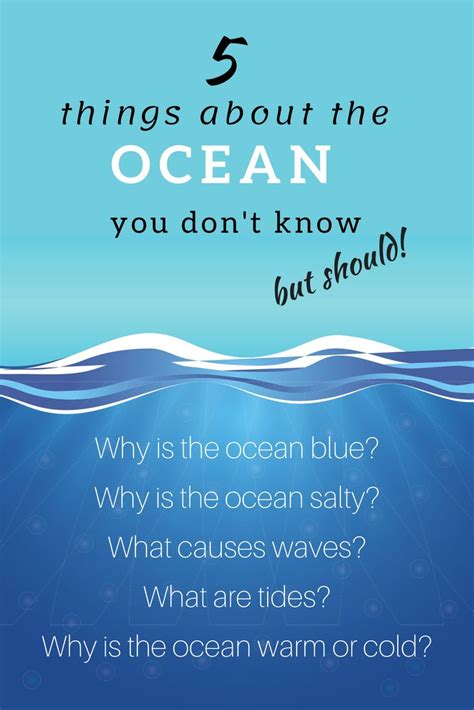 5 Ocean Facts You Are Embarrassed You Dont Know Ocean Lesson Plans