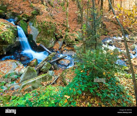 Waterfalls On Rocky Autumn Stream Stock Photo Alamy