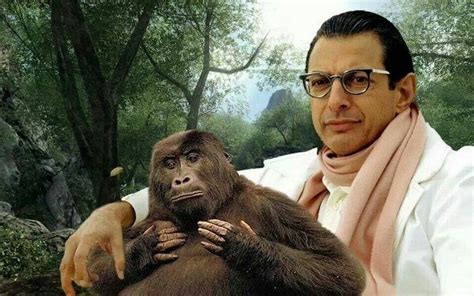19 jeff goldblum pictures that almost make life tolerable